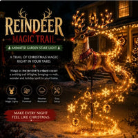 Christmas Reindeer